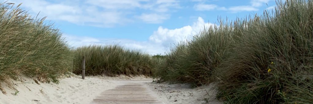 Lisas_Leben's profile banner image