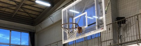 下Ｒ上ＬＹＢＸＡ banner