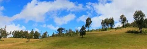 tryan_wp's profile banner image
