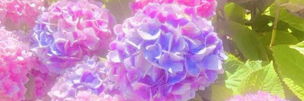 MaxineMars_ Profile Banner