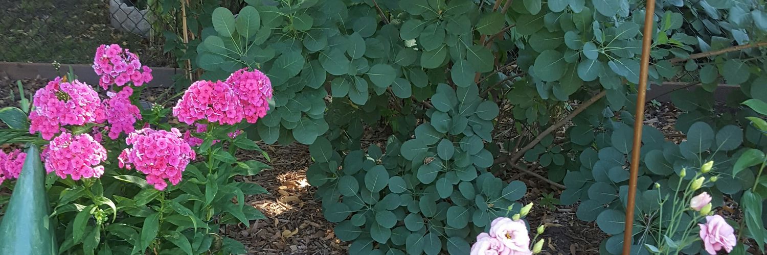 TeresaMorrill's profile banner image
