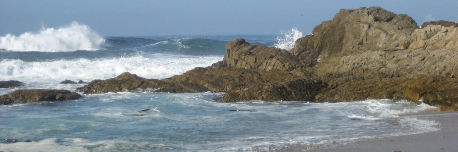 Felicia Collison banner