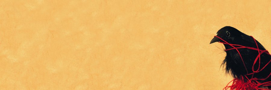 Matthew Rohan Raj banner