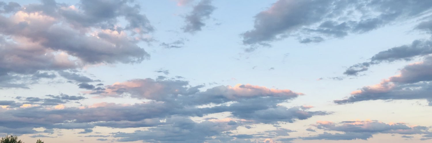 rosanautrera's profile banner image