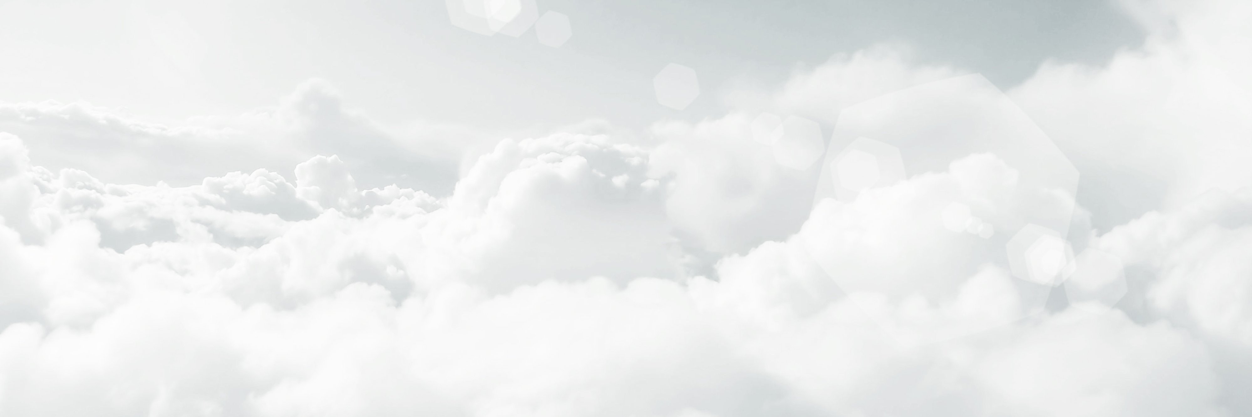 quinamons's profile banner image