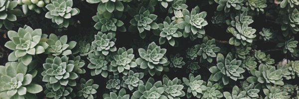 anag_g Profile Banner