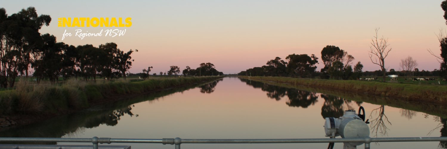 Senator Perin Davey banner