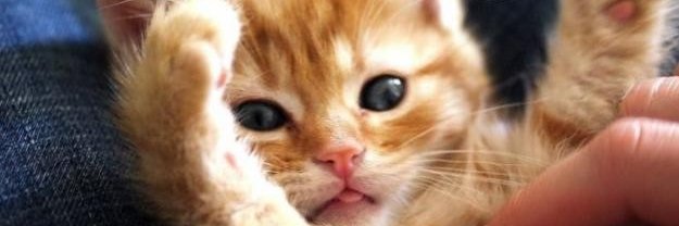 yibrineth's profile banner image