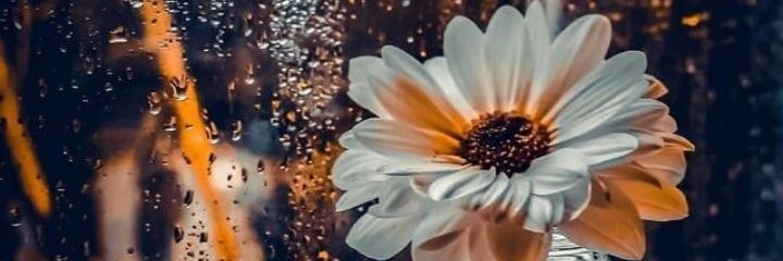 Andy_Ckush's profile banner image