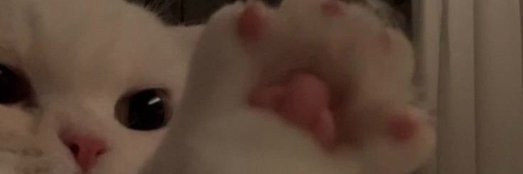 eyluldess's profile banner image