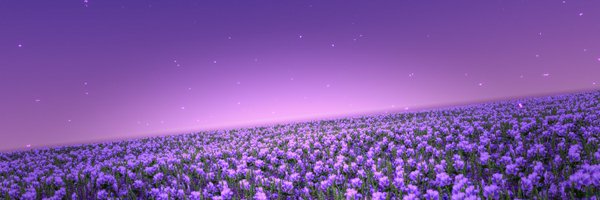 BC_VRC Profile Banner