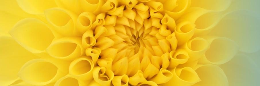TheGrahamBrand's profile banner image