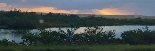 casscraze Profile Banner