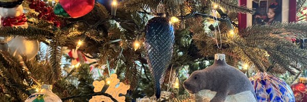 LDM_tigergirl Profile Banner