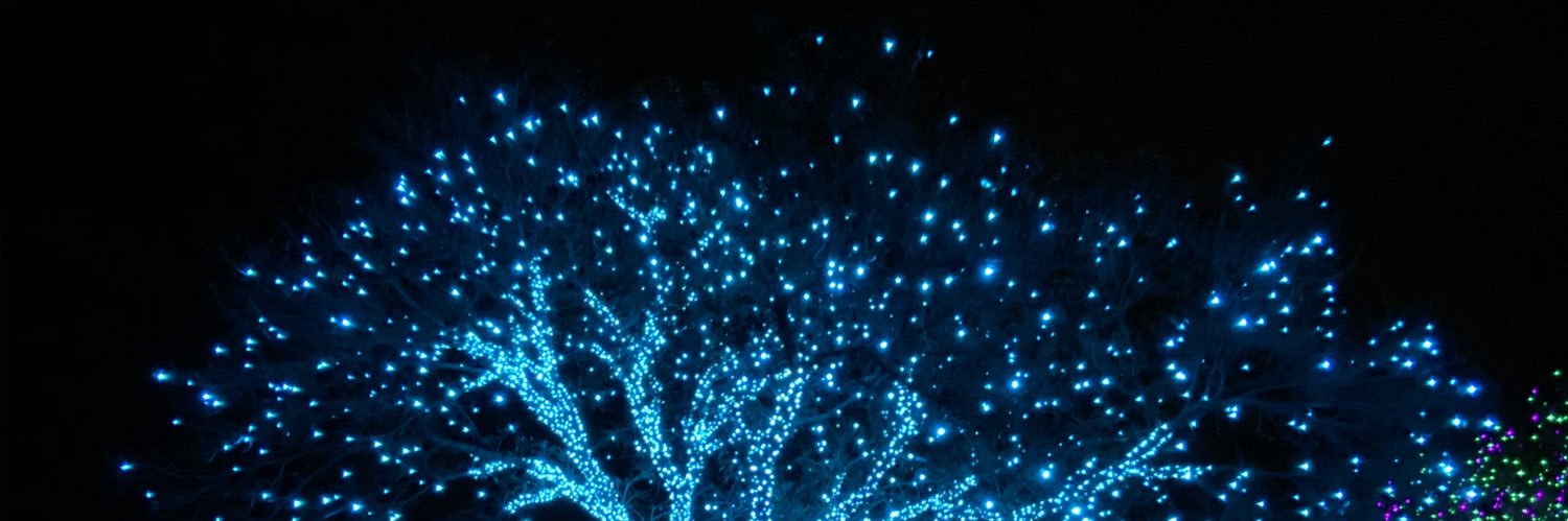 fxjm_'s profile banner image