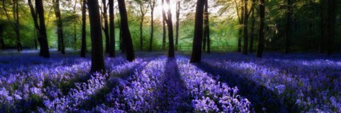 HGovereau's profile banner image