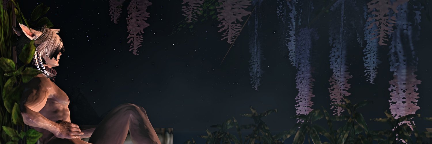 DMikhto's profile banner image