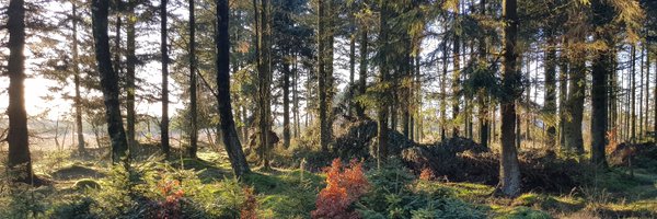 Anchry Profile Banner