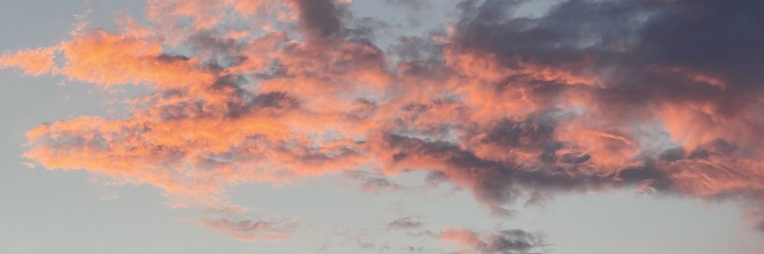 AkashiNelli's profile banner image