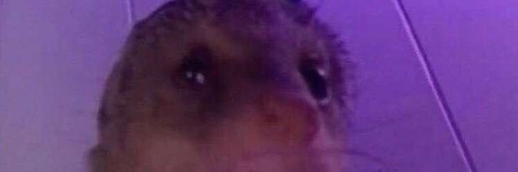 _eve_g's profile banner image