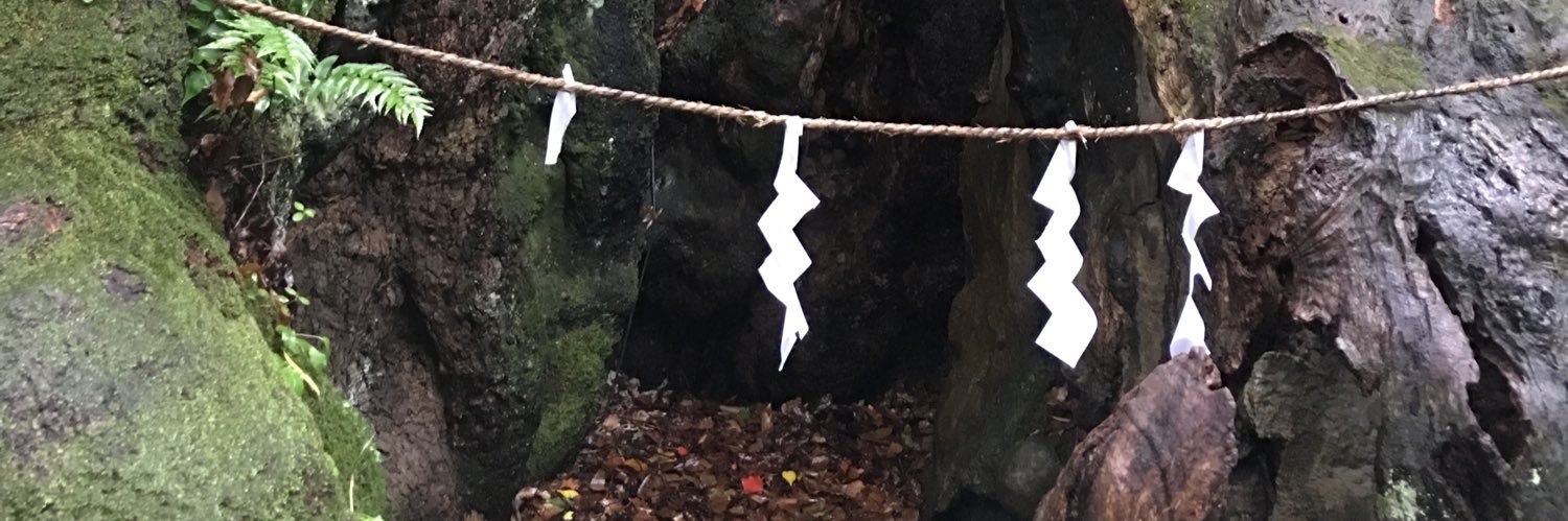 namugo7's profile banner image