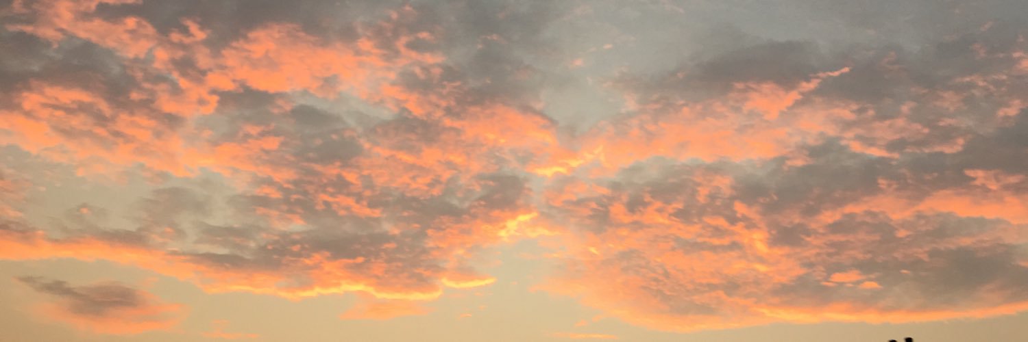 spotdotfluffy's profile banner image