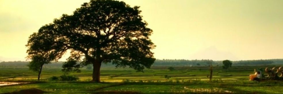 𝚎𝚙𝚘𝚗𝚢𝚖𝚘𝚞𝚜💬 banner