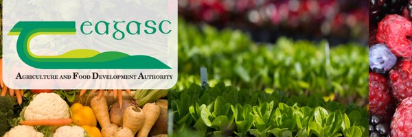 TeagascHDD Profile Banner