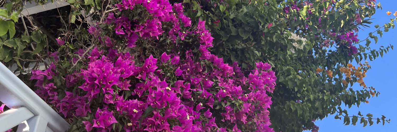 Lotpot_12's profile banner image
