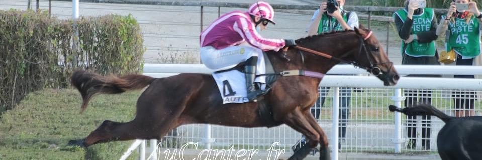 Bertrand Lestrade banner