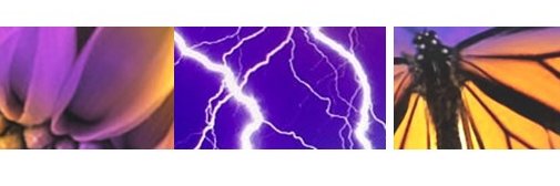 Risk Solutions banner