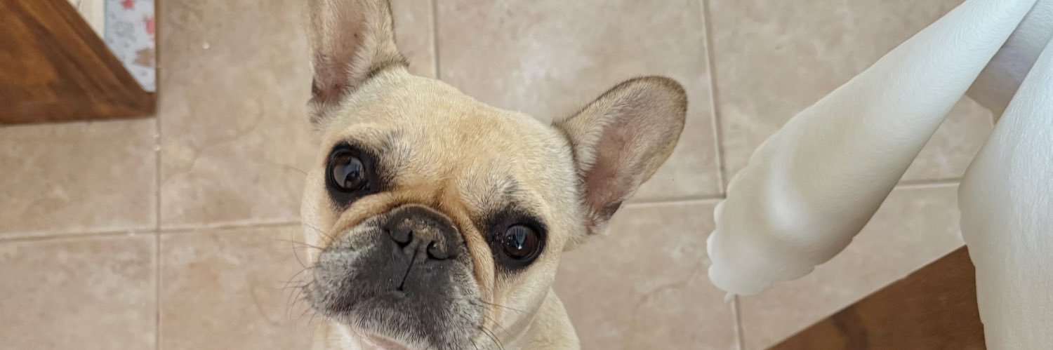 brenrios_'s profile banner image