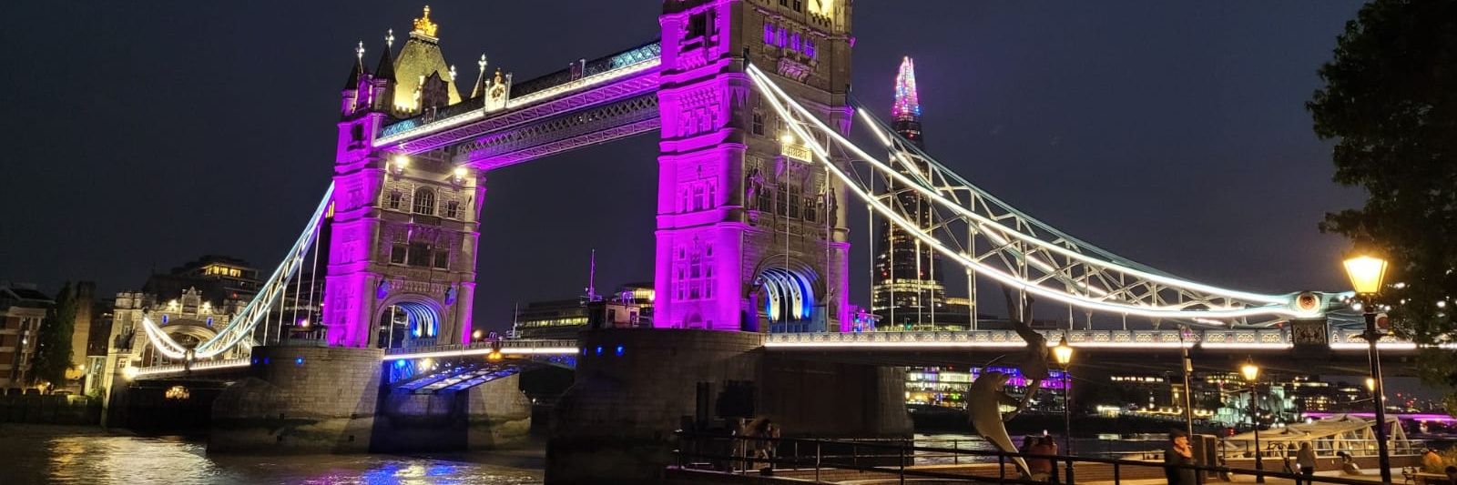 TMYCthames's profile banner image