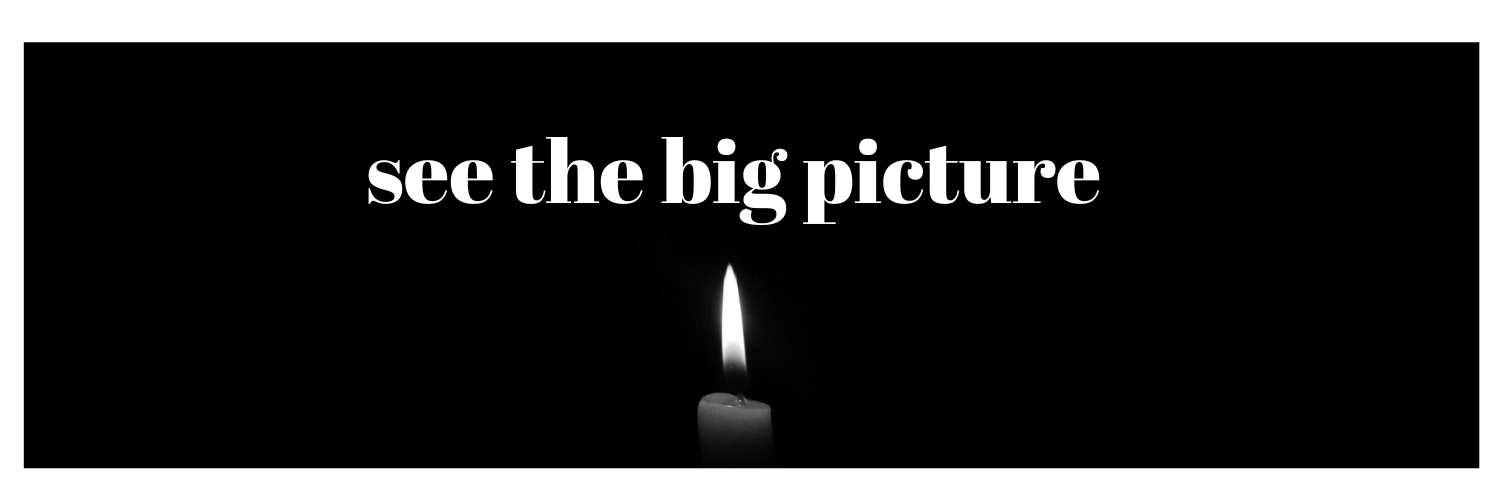 The Auditor_Zimbasia (Facts) banner