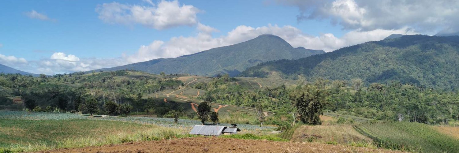 pacocamacho's profile banner image