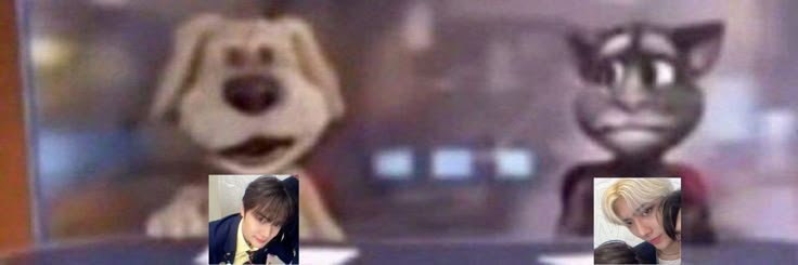 safff finding home🍥 banner