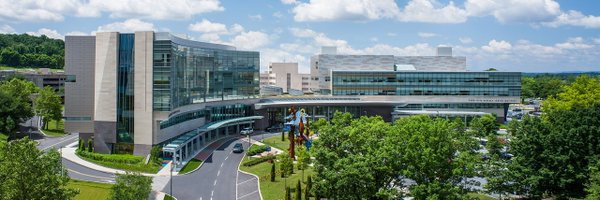 JillMcClelland8 Profile Banner