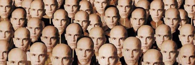 David Thornbridge banner