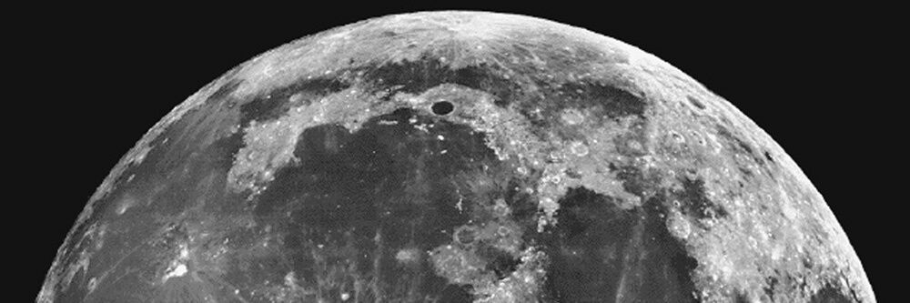 LunarTu's profile banner image