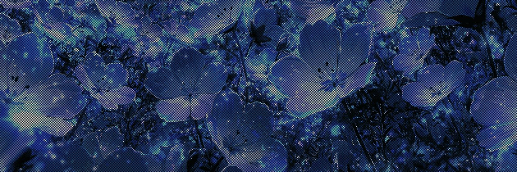 Alec_prv's profile banner image