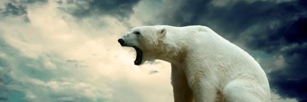 MimitheNewt Profile Banner