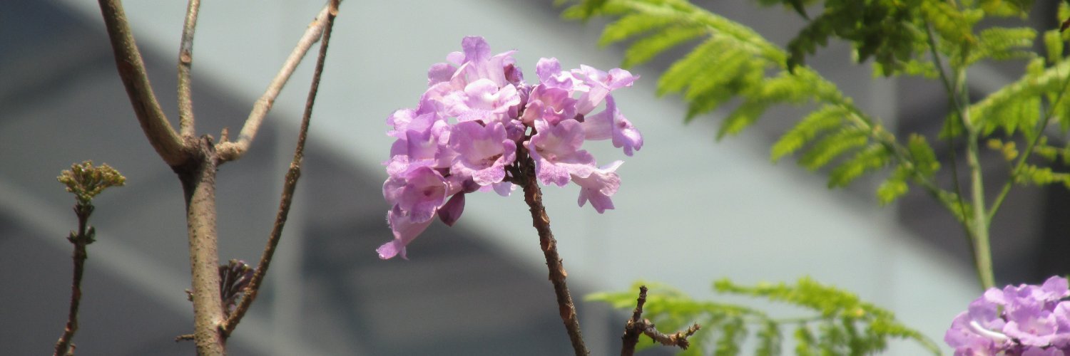 yaneve07's profile banner image