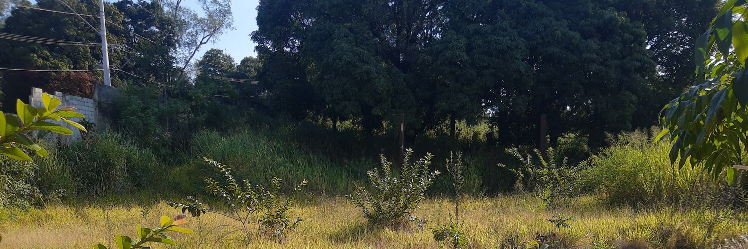 PentelhudoDot banner