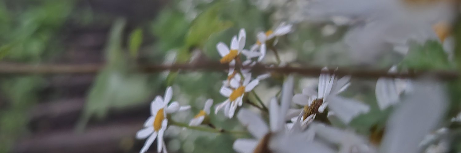 seran6133's profile banner image