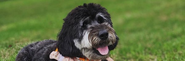 DrewJenkinsMD1 Profile Banner