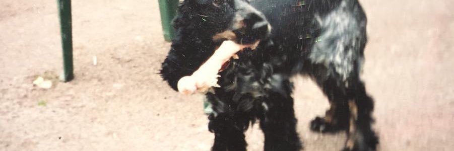 guymillson's profile banner image