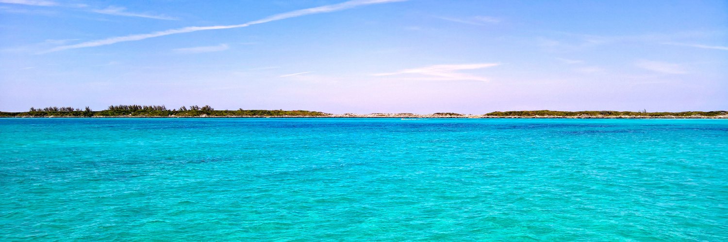 Alon Fliess banner
