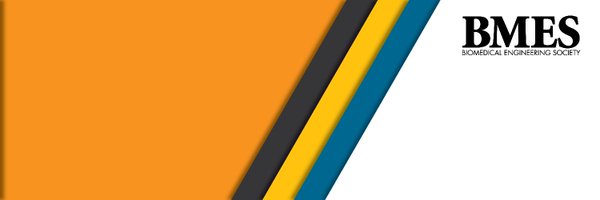 BmesDiversity Profile Banner