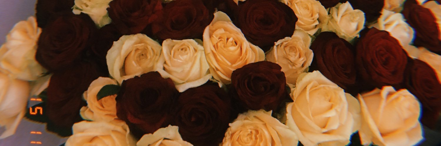 29Gulia's profile banner image