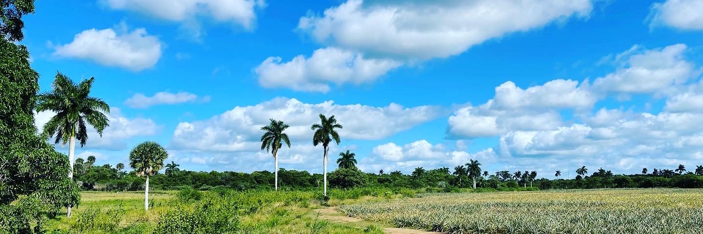 Roanny Lamas👨🏻‍💻 banner